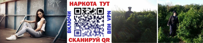 Какие есть наркотики Апшеронск Амфетамин  Псилоцибиновые грибы  APVP  Меф мяу мяу  ГАШИШ  Каннабис 