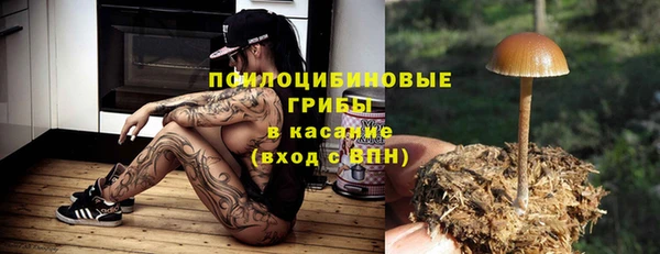 дурь Абинск